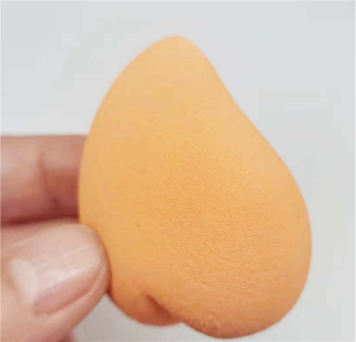 Professional Makeup Blender For Dry And Wet