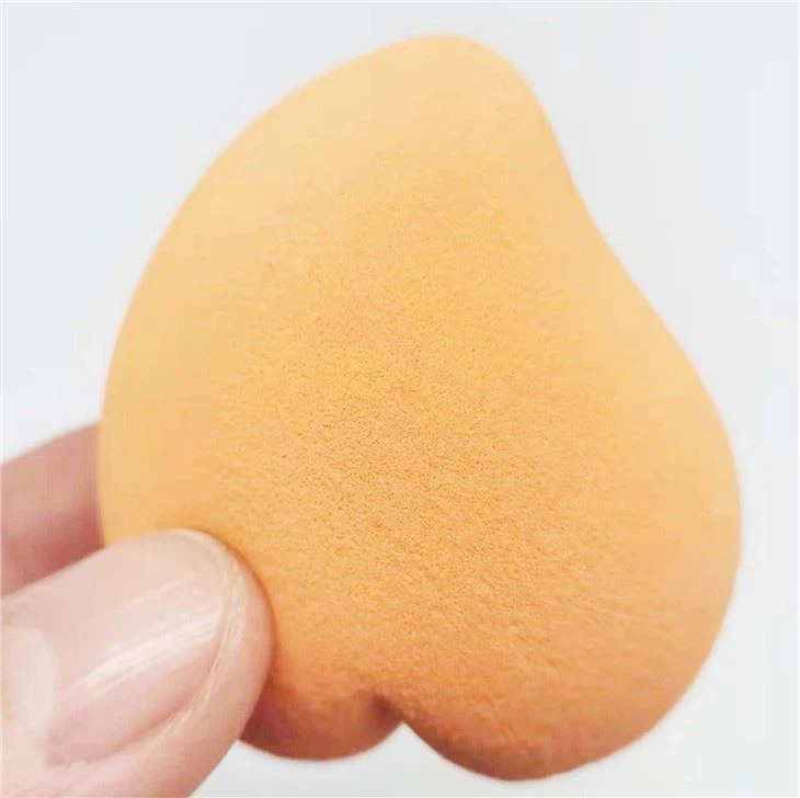 Professional Makeup Blender For Dry And Wet